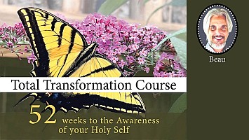 Total Transformation Course (TTC) with Beau