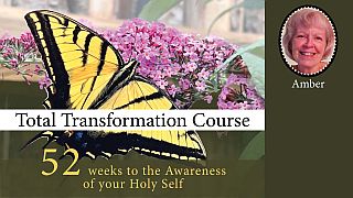 Total Transformation Course (TTC) with Amber
