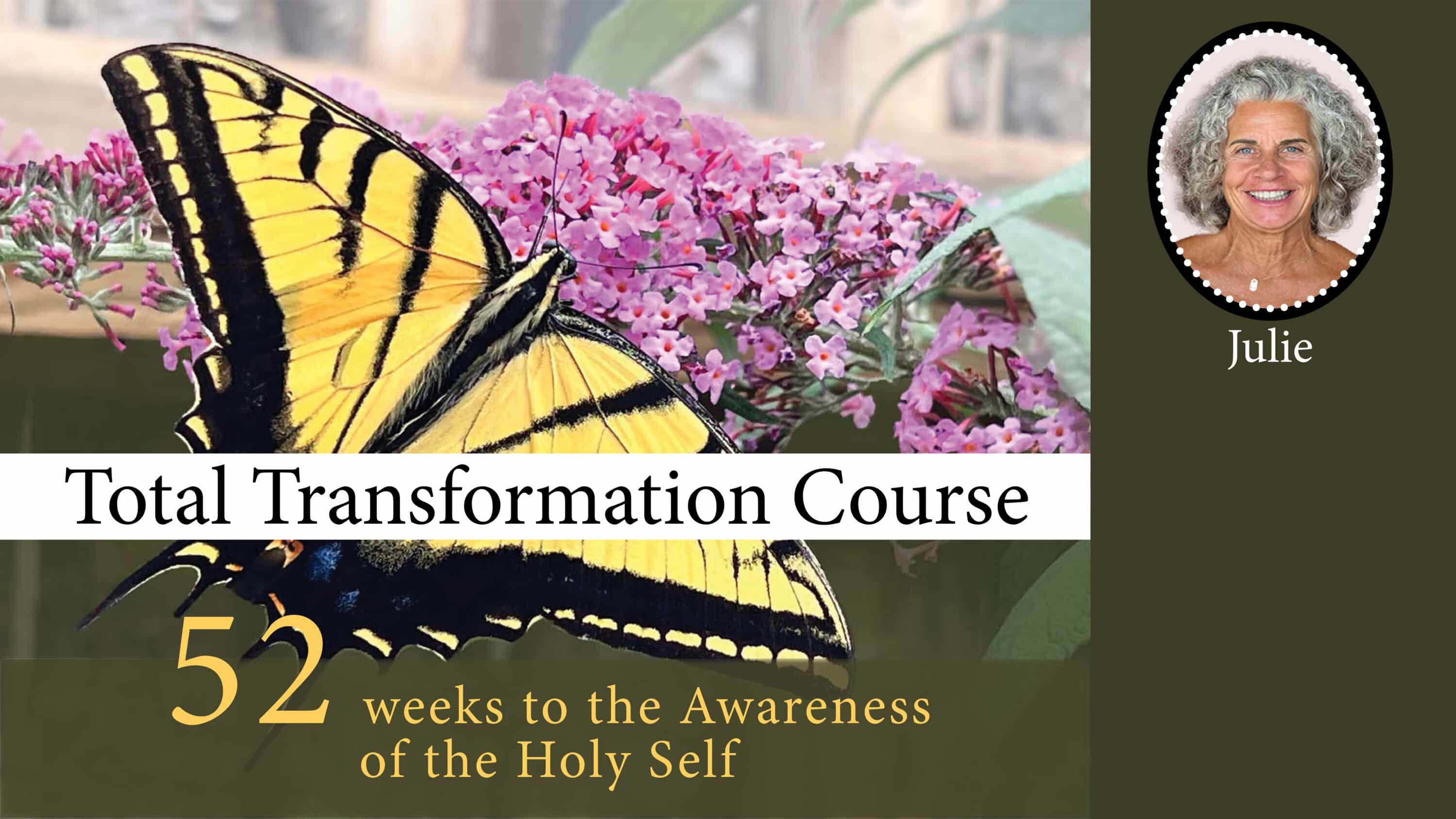 Total Transformation Course (TTC) with Julie